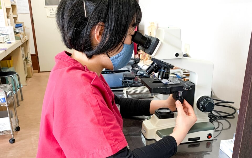 検査で顕微鏡を覗く横山医師